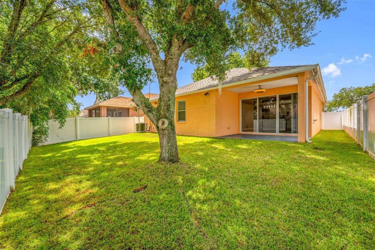 13002 Terrace Springs Drive , Tampa, FL 33637 Photo