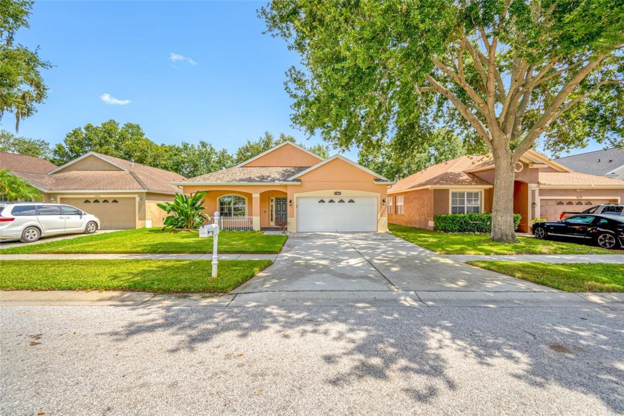 13002 Terrace Springs Drive , Tampa, FL 33637 Photo