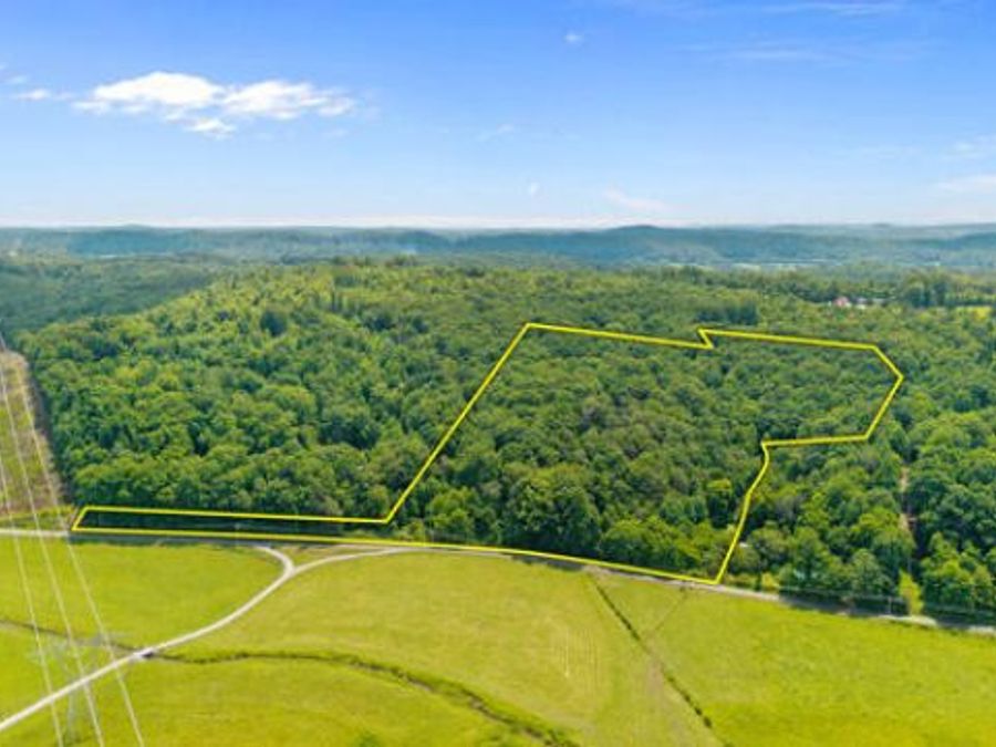 Property Image 10