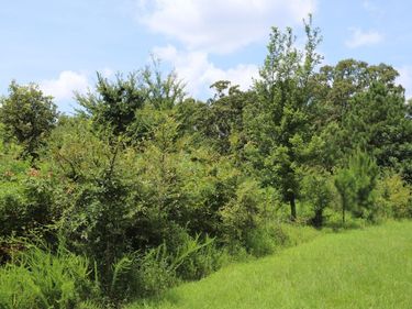 Lot 58 Kirk Ridge Drive, Murray, KY 42071