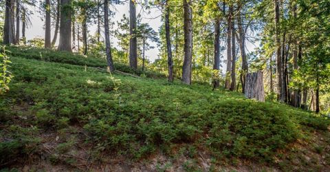 2707 Navajo Dr, Dorrington, CA 95223 Photo