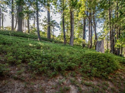 2707 Navajo Dr, Dorrington, CA 95223 Photo