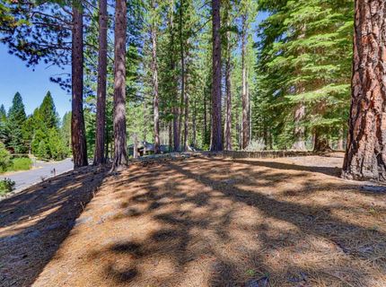 292 Mckenzie Trl, Clio, CA 96106 Photo