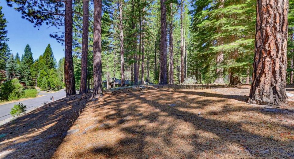 292 Mckenzie Trl, Clio, CA 96106 Photo