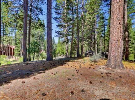 292 Mckenzie Trl, Clio, CA 96106 Photo