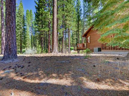 292 Mckenzie Trl, Clio, CA 96106 Photo