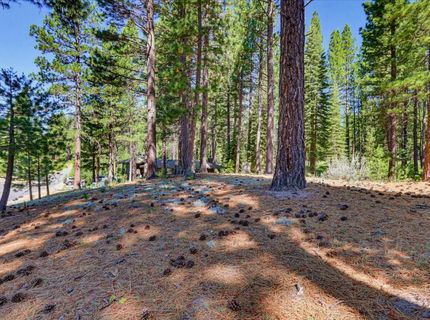 292 Mckenzie Trl, Clio, CA 96106 Photo