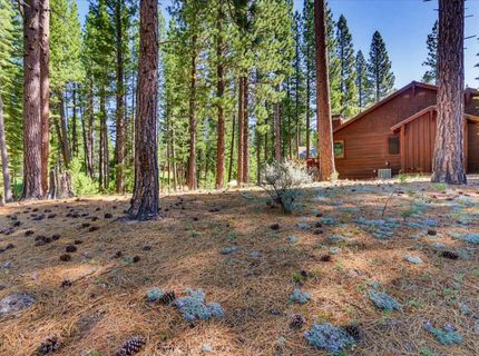 292 Mckenzie Trl, Clio, CA 96106 Photo