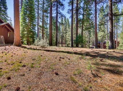 292 Mckenzie Trl, Clio, CA 96106 Photo