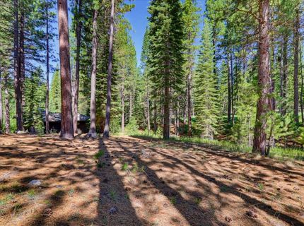 292 Mckenzie Trl, Clio, CA 96106 Photo