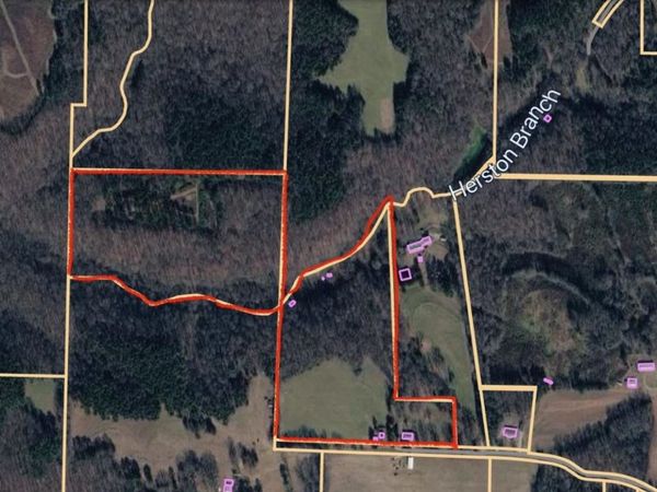 412 Co Rd 543, Rogersville, AL 35652