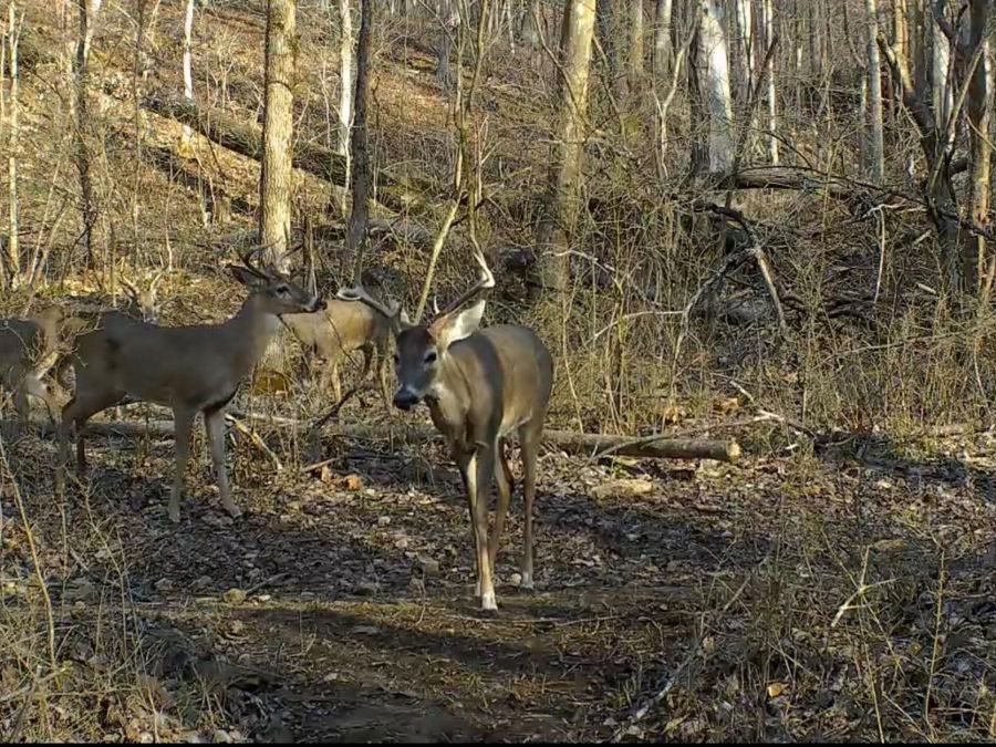 Property Image 25