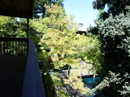 941 Fulton Ave #510, Unit 510, Sacramento, CA 95825 Photo
