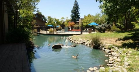 941 Fulton Ave #510, Unit 510, Sacramento, CA 95825 Photo