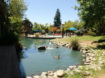 941 Fulton Ave #510, Unit 510, Sacramento, CA 95825 Photo