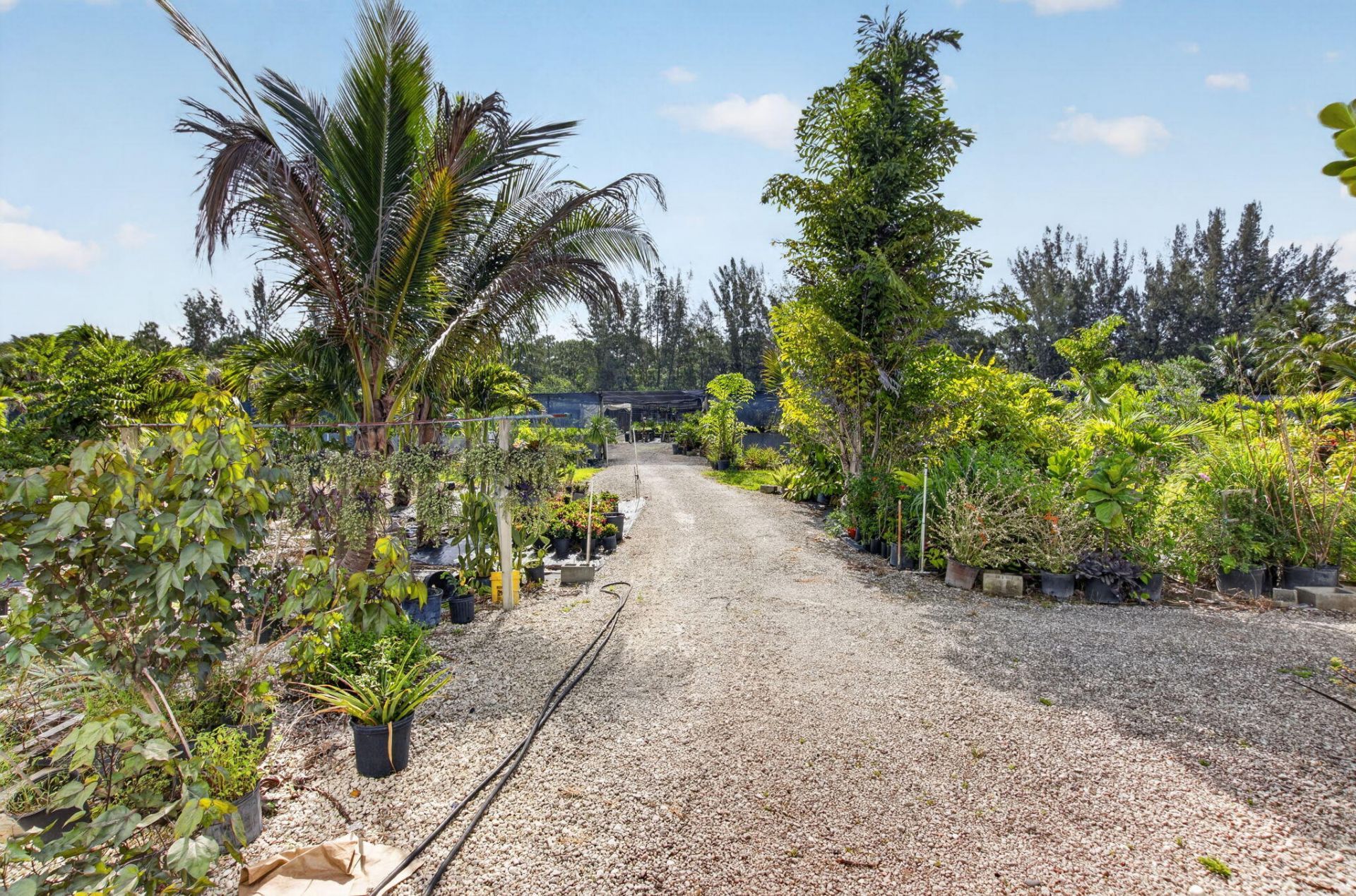 6700 Park Lane E, Lake Worth, FL 33449 Photo