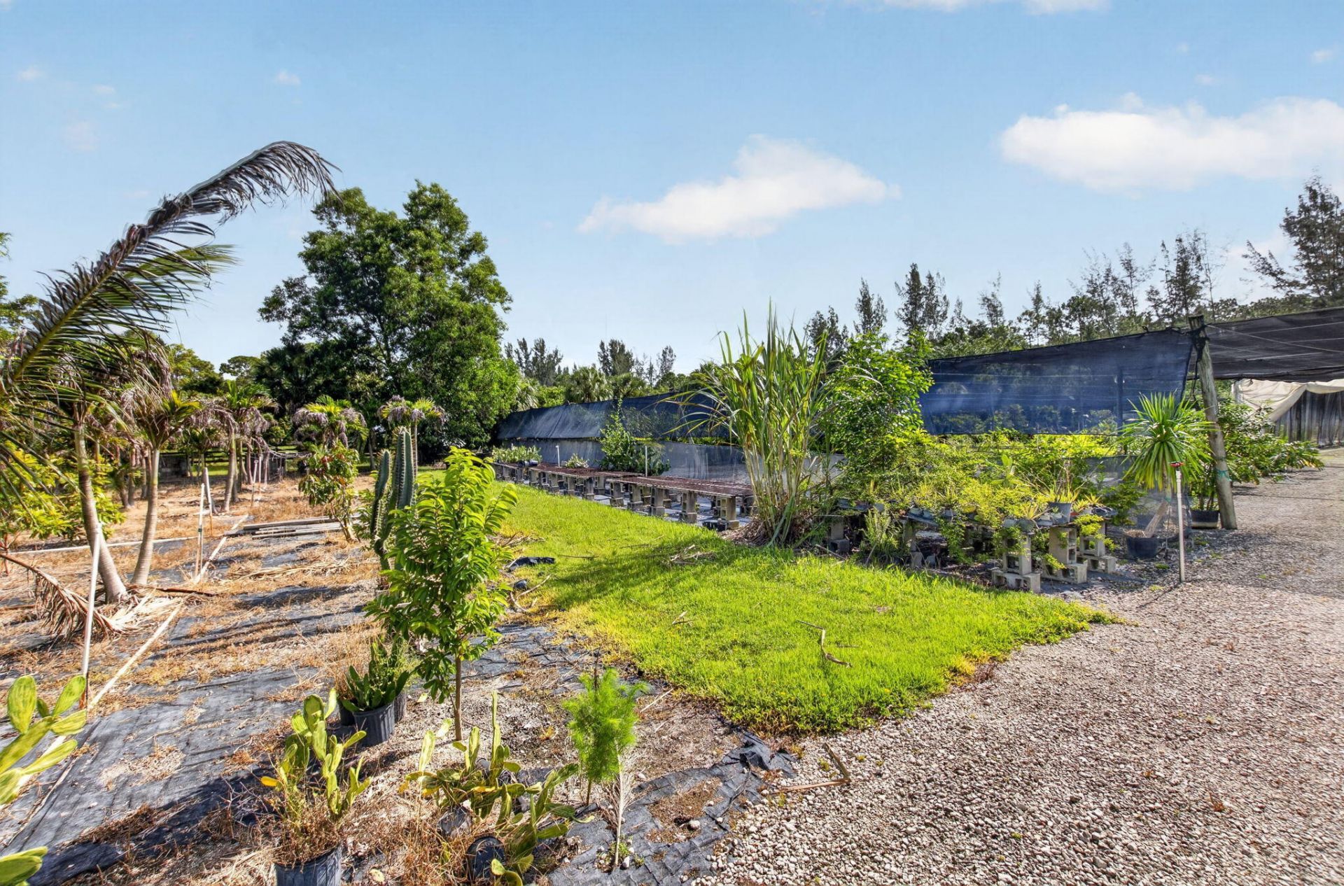 6700 Park Lane E, Lake Worth, FL 33449 Photo
