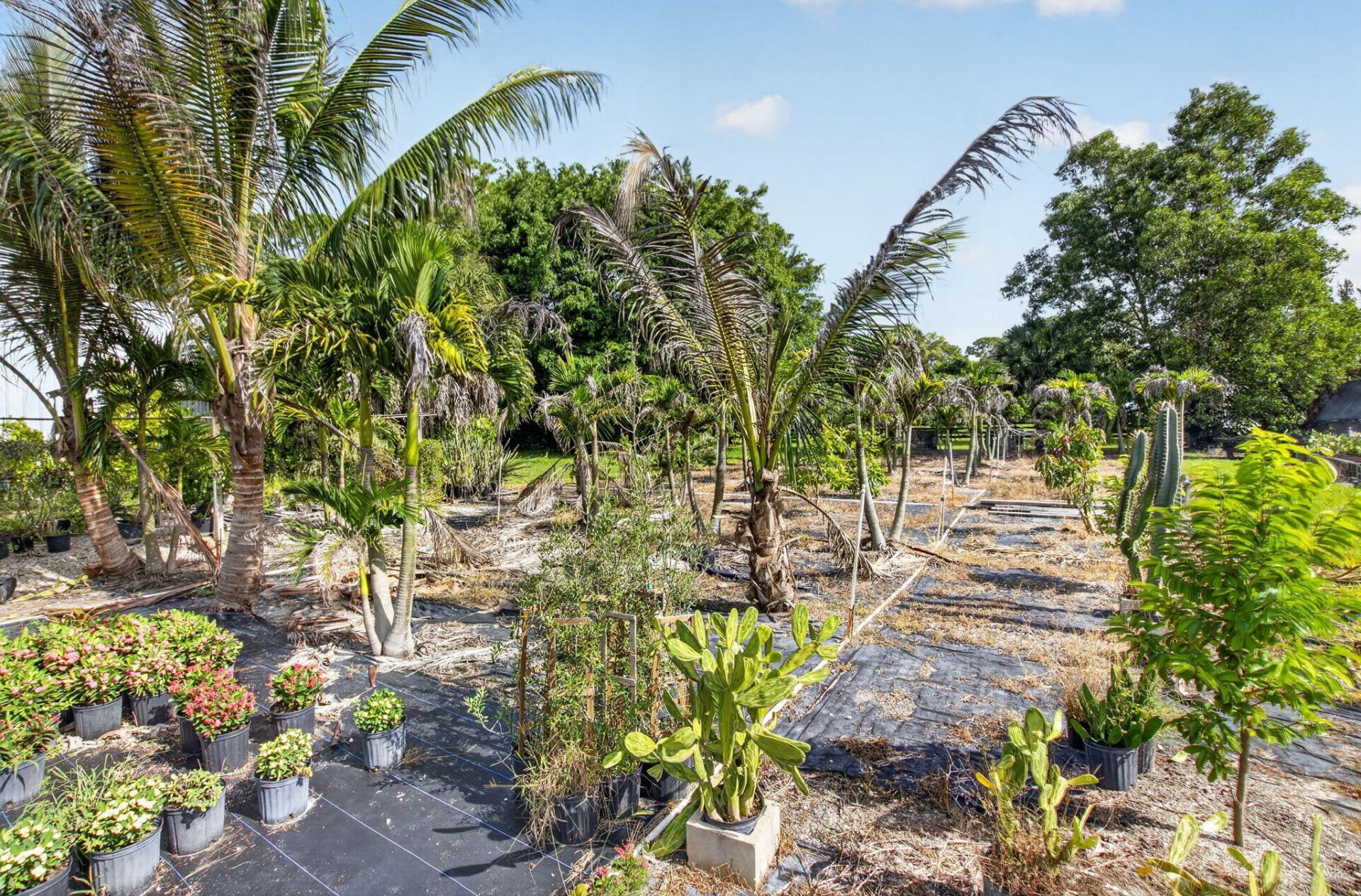 6700 Park Lane E, Lake Worth, FL 33449 Photo