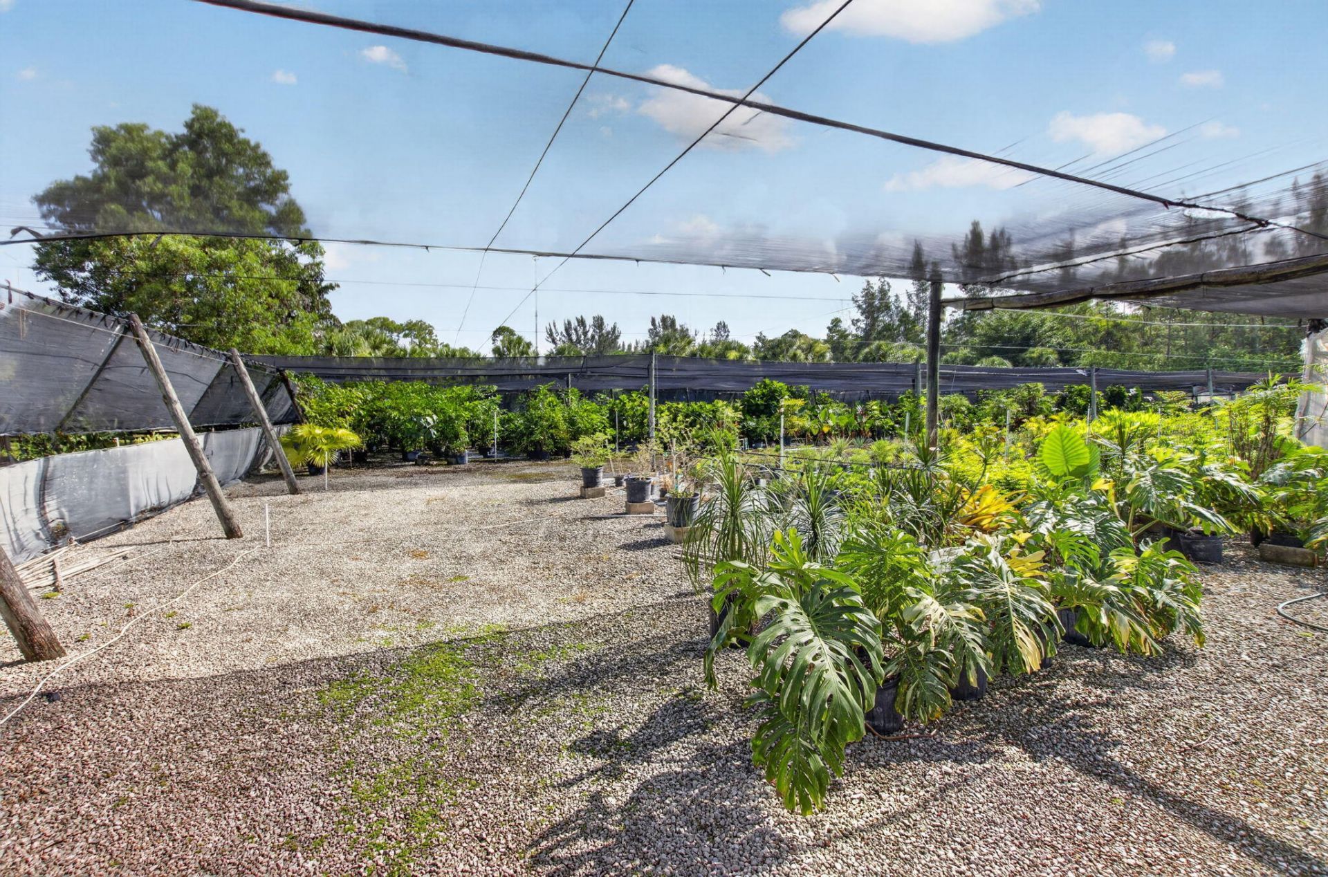 6700 Park Lane E, Lake Worth, FL 33449 Photo
