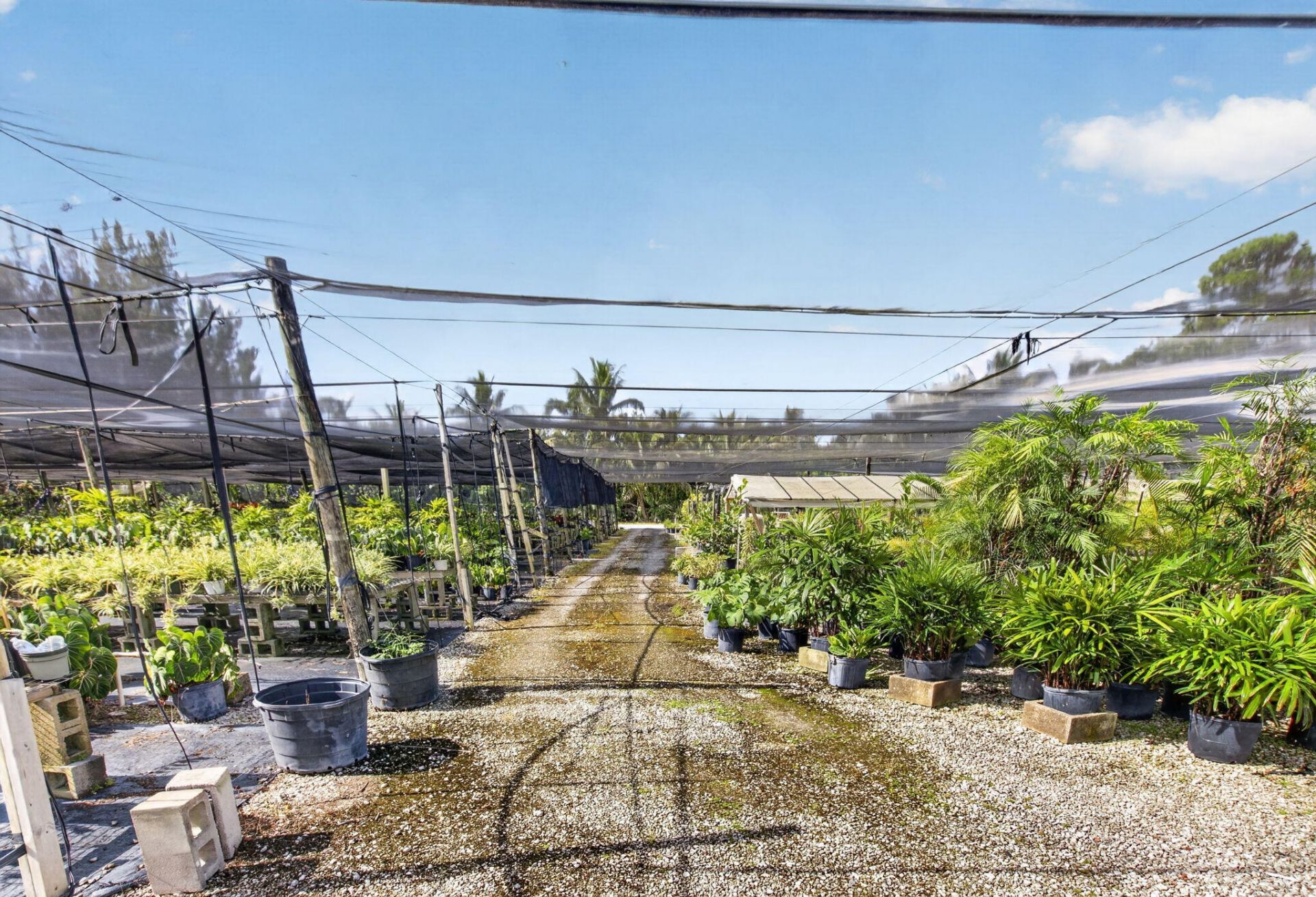 6700 Park Lane E, Lake Worth, FL 33449 Photo