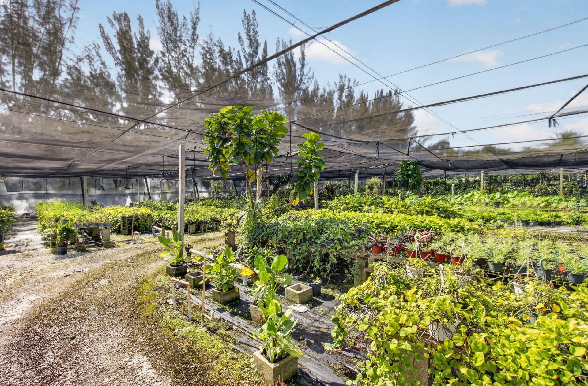 6700 Park Lane E, Lake Worth, FL 33449 Photo