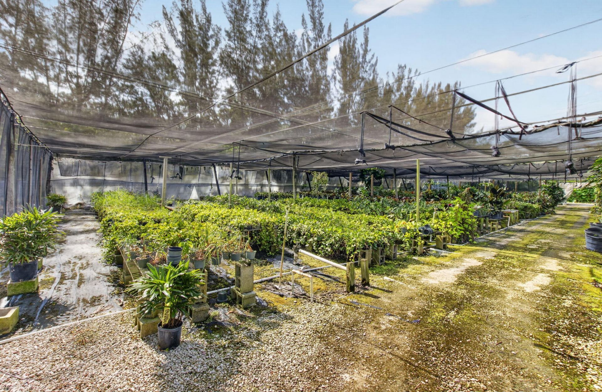 6700 Park Lane E, Lake Worth, FL 33449 Photo