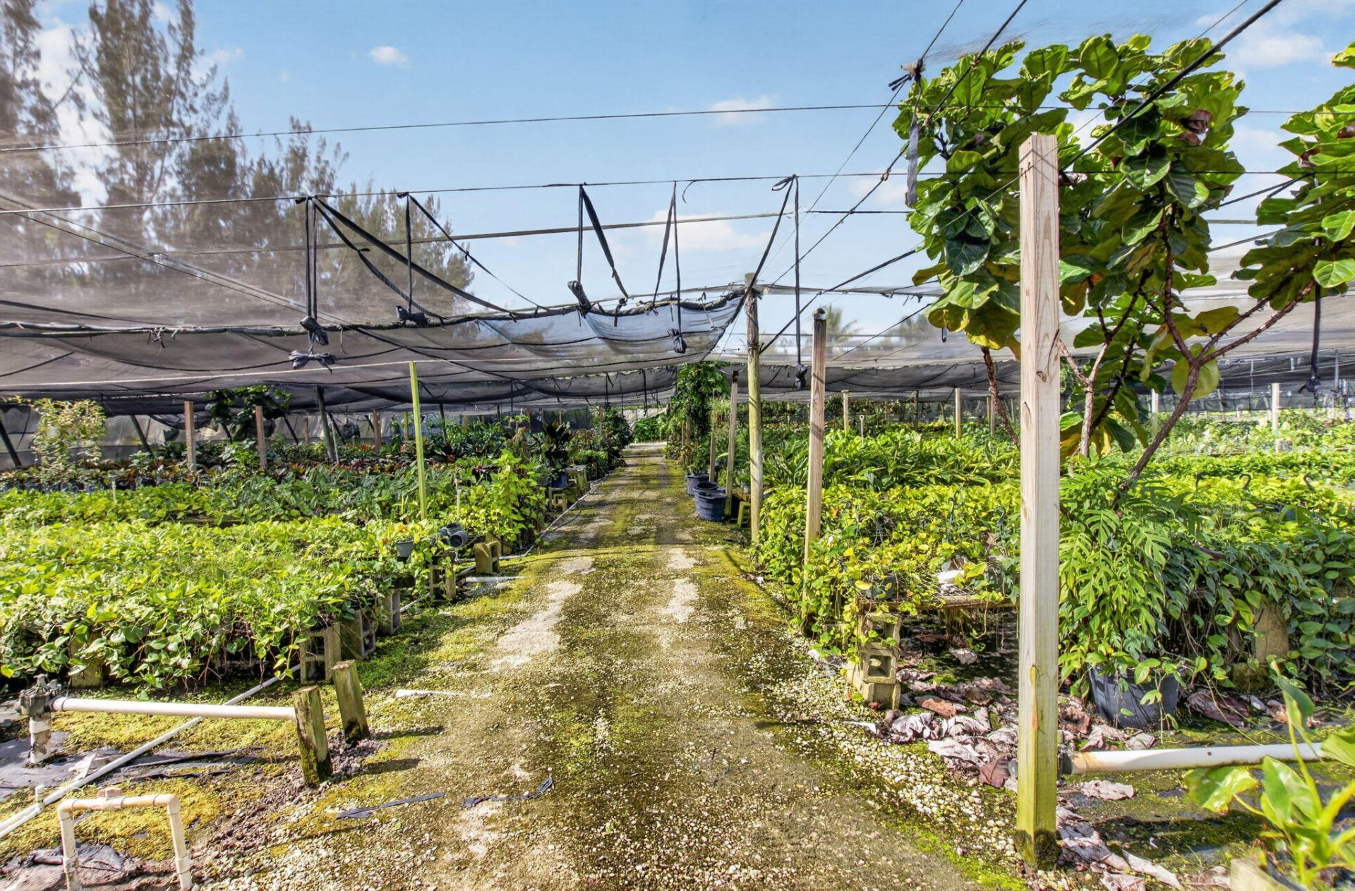 6700 Park Lane E, Lake Worth, FL 33449 Photo