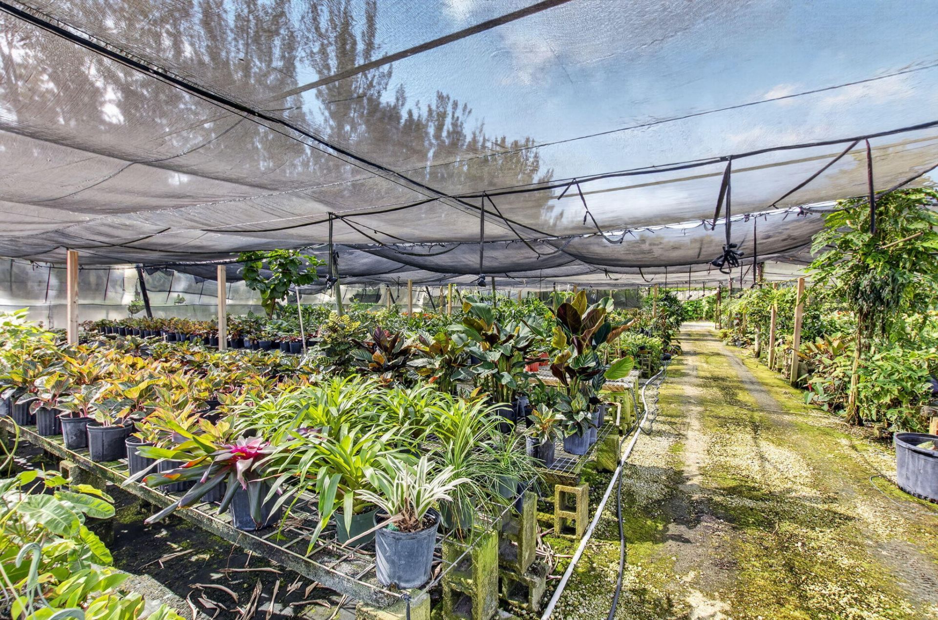 6700 Park Lane E, Lake Worth, FL 33449 Photo