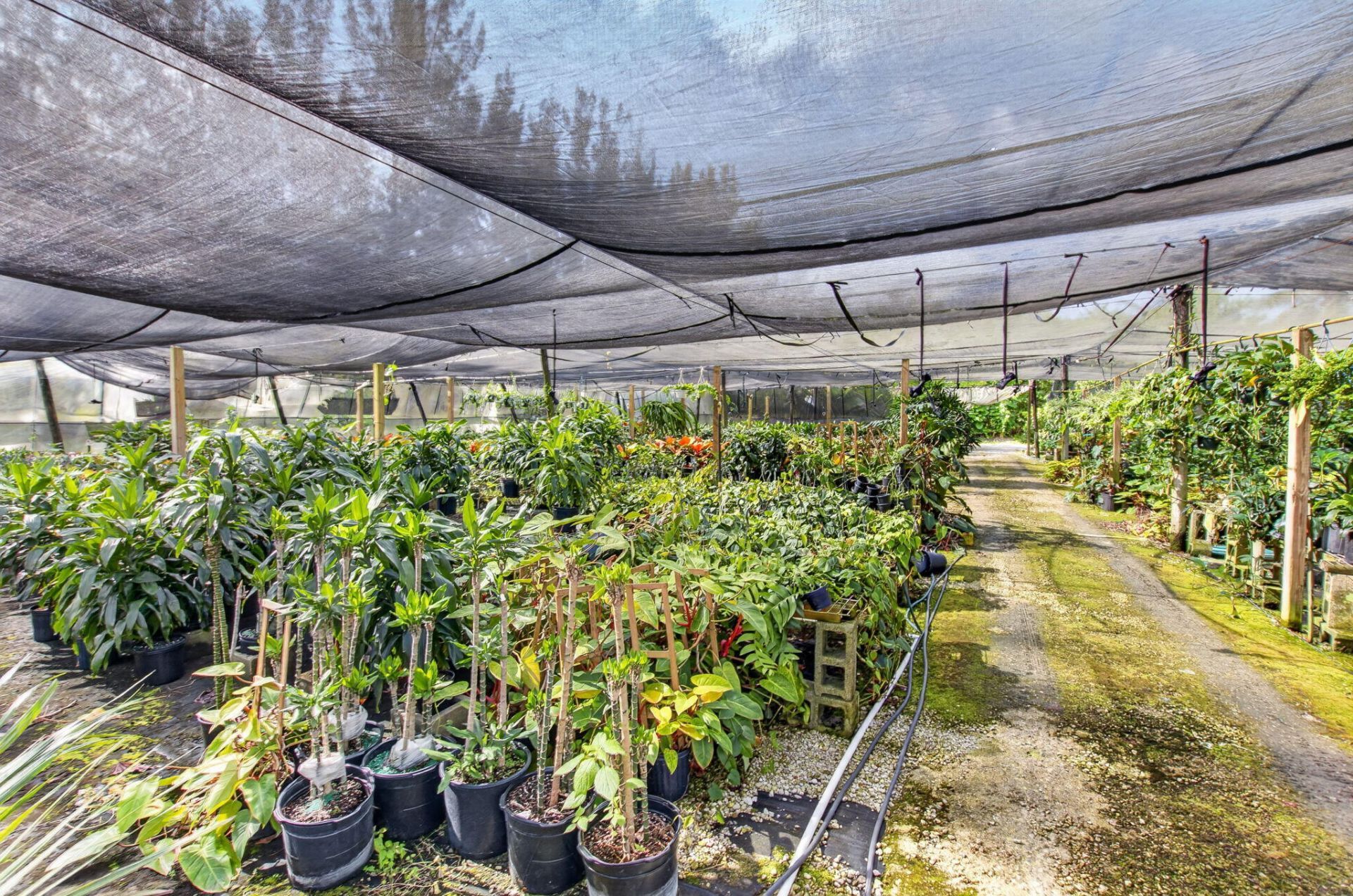 6700 Park Lane E, Lake Worth, FL 33449 Photo