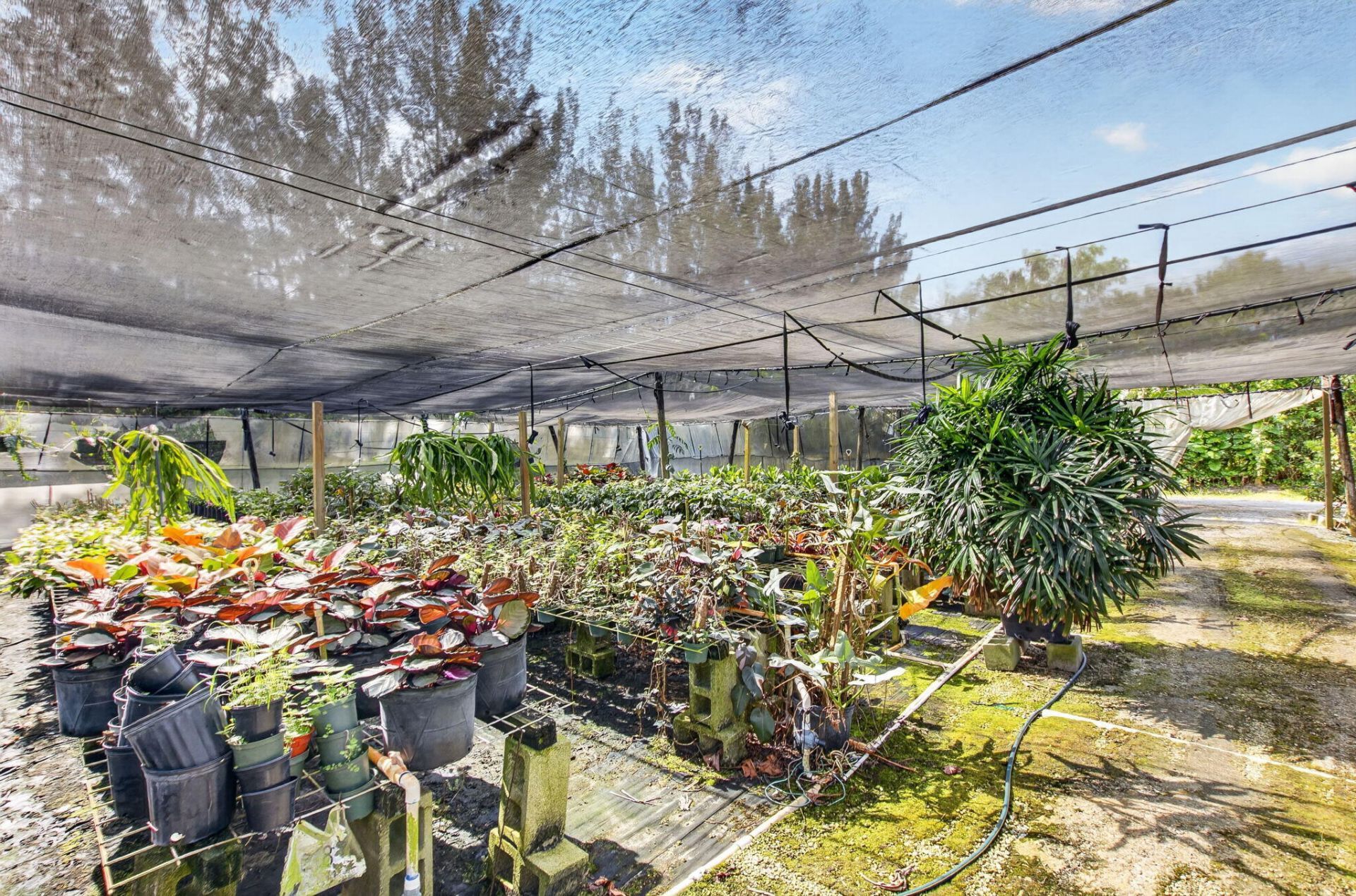 6700 Park Lane E, Lake Worth, FL 33449 Photo