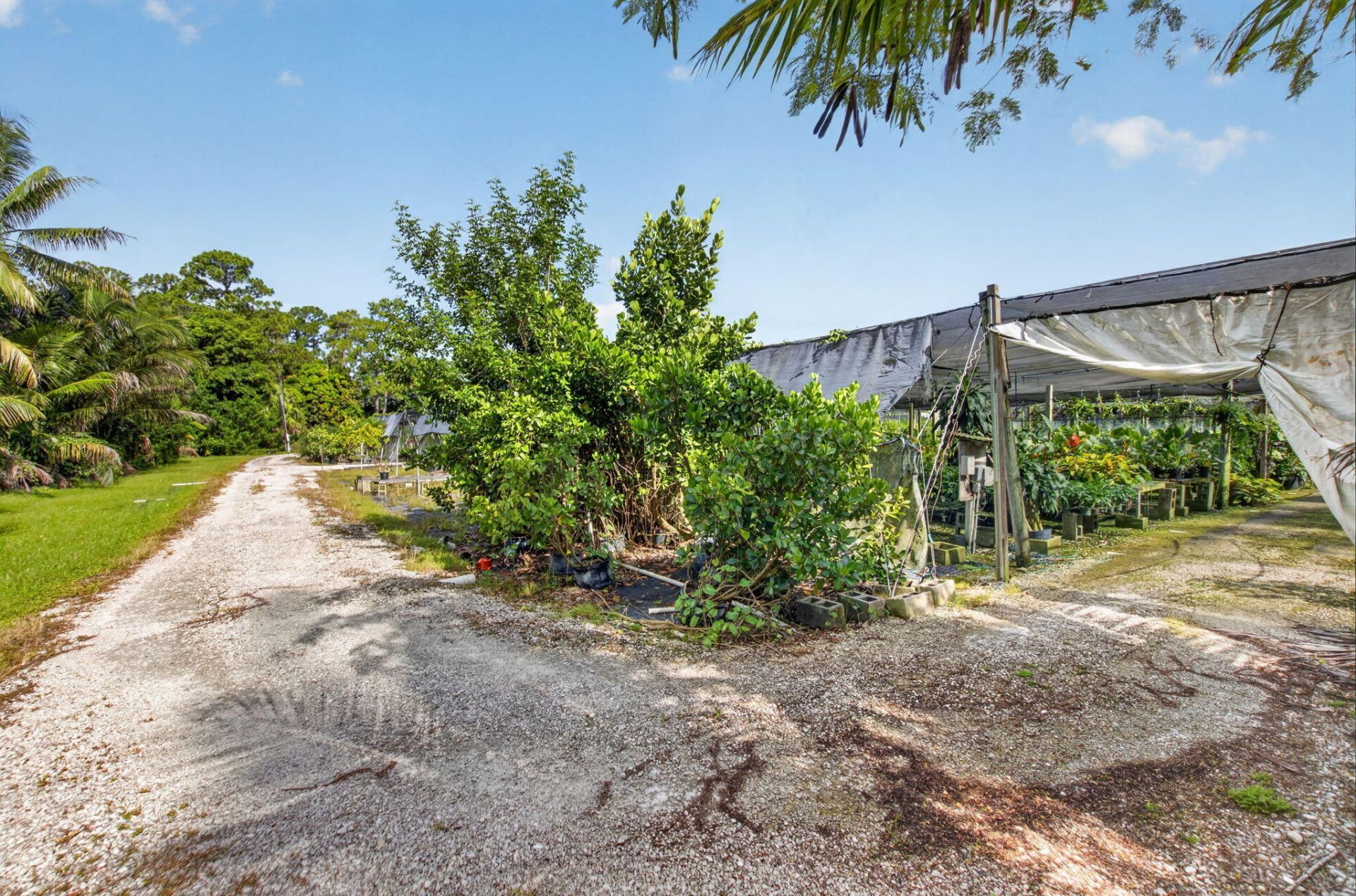 6700 Park Lane E, Lake Worth, FL 33449 Photo