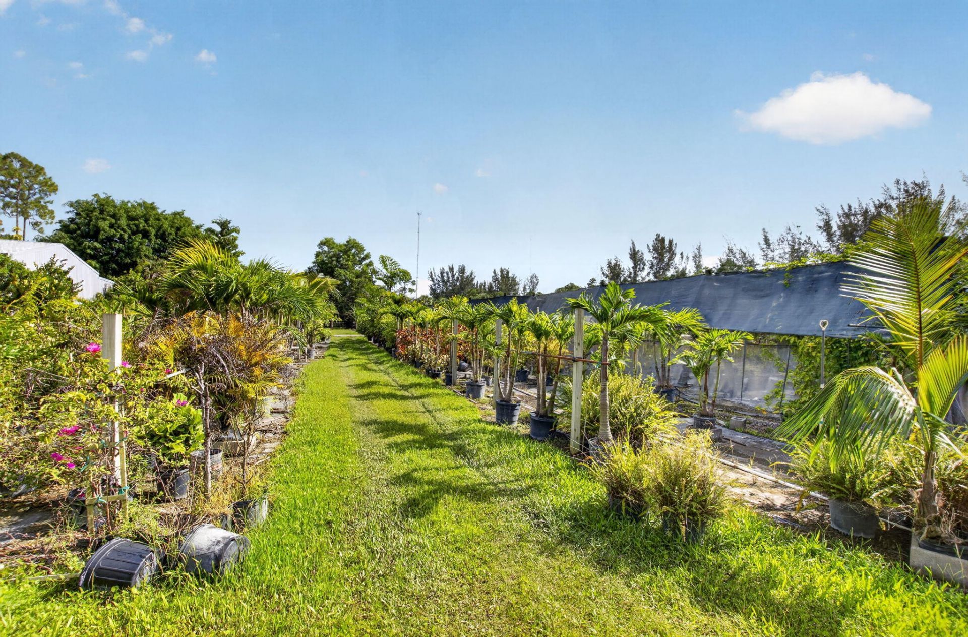 6700 Park Lane E, Lake Worth, FL 33449 Photo