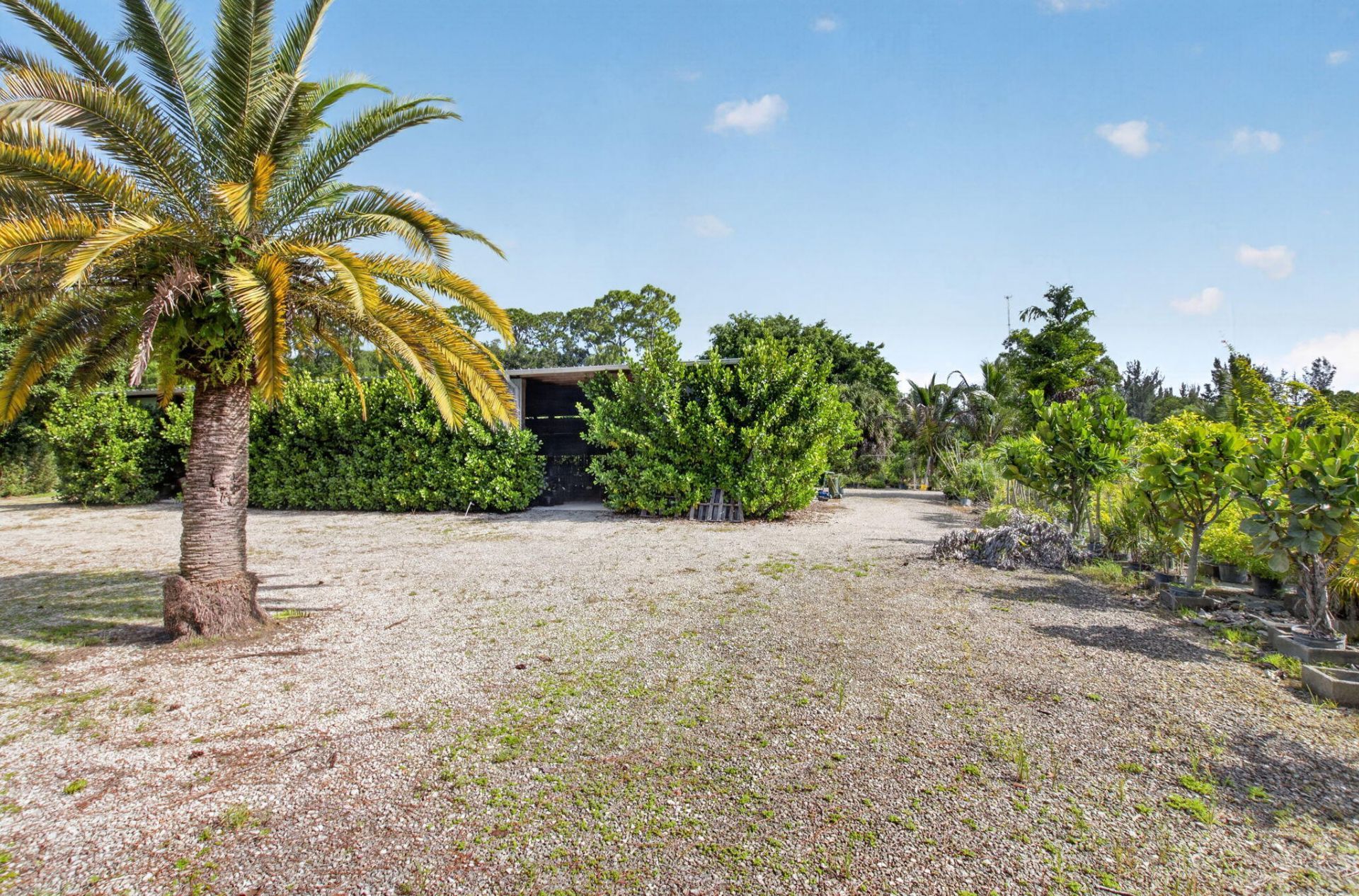 6700 Park Lane E, Lake Worth, FL 33449 Photo