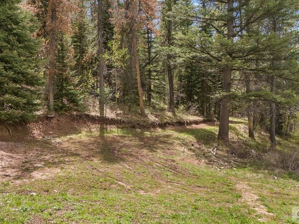 TBD Sellers Creek Road, FIRTH, ID 83236