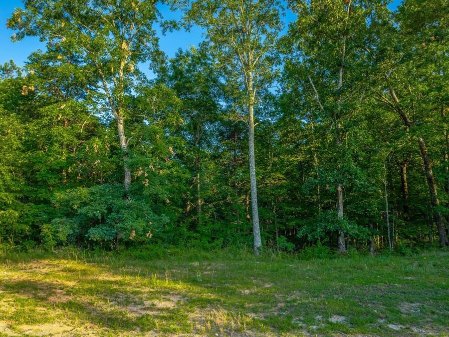 Property Image 51