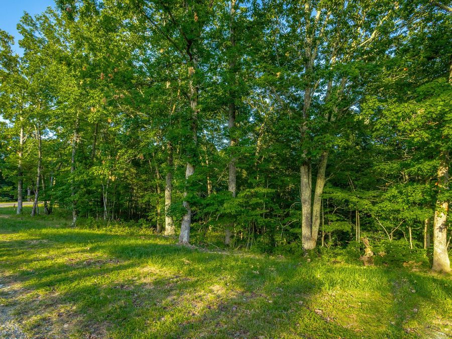 Property Image 65
