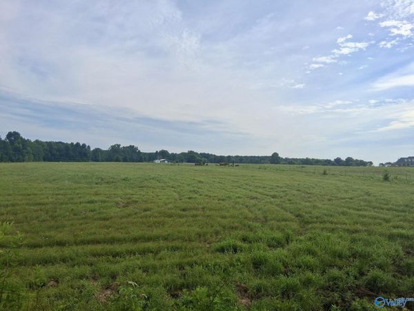 6 acres Columbus City Road, Grant, AL 35747