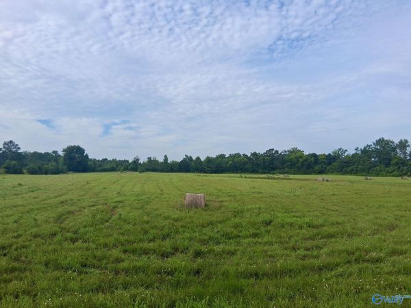 11 acres Columbus City Road, Grant, AL 35747