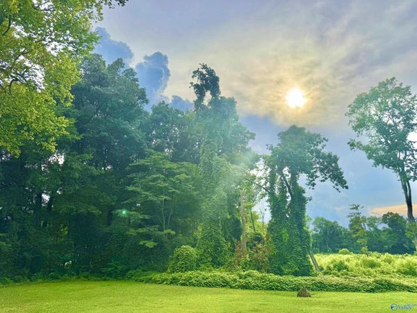 21 Arapaho Trail Se, Decatur, AL 35601
