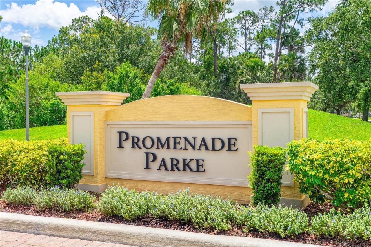 211 Caryota Court, New Smyrna Beach, FL 32168 Photo