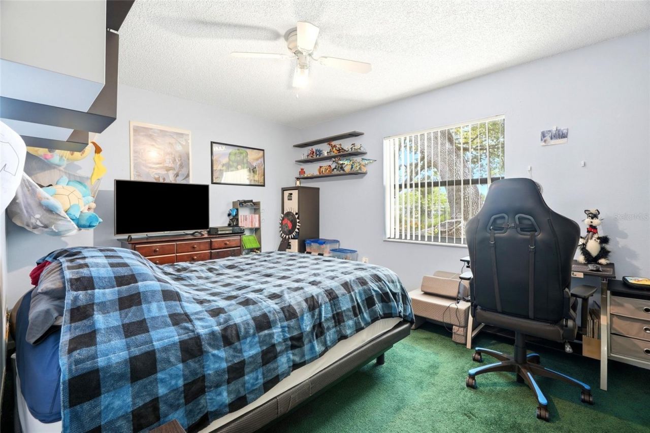 6300 86th Avenue N, Pinellas Park, FL 33782 Photo