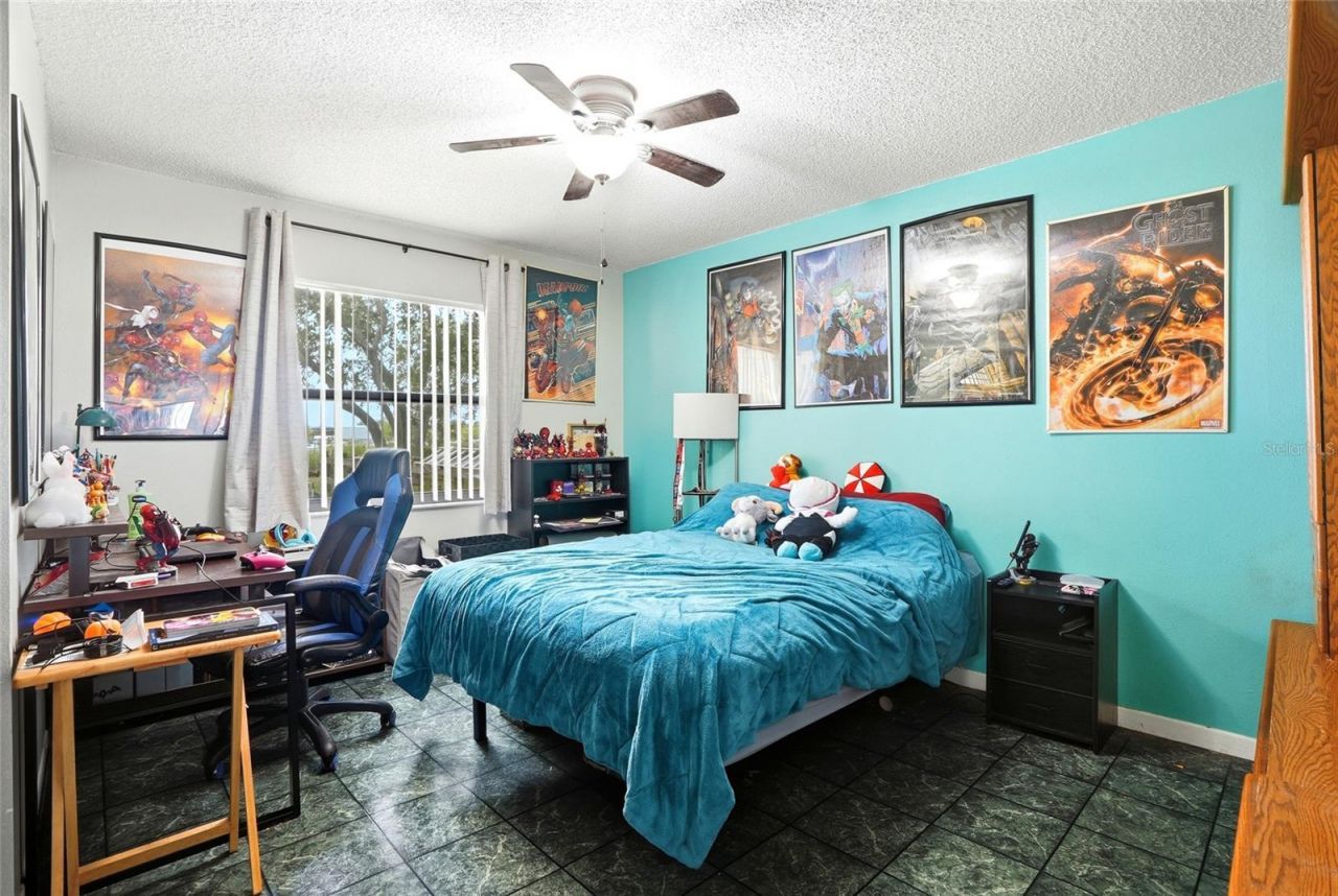 6300 86th Avenue N, Pinellas Park, FL 33782 Photo