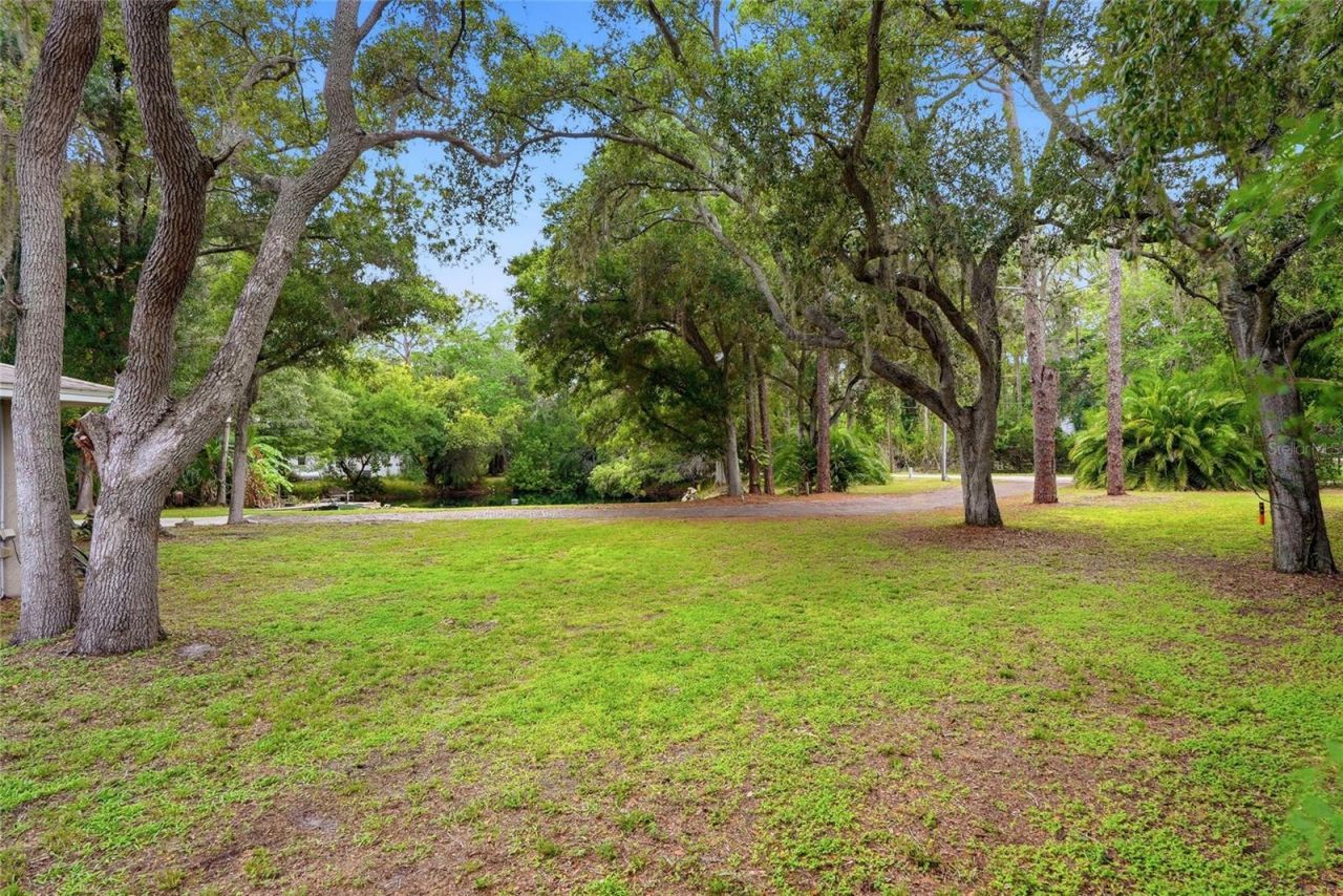 6300 86th Avenue N, Pinellas Park, FL 33782 Photo