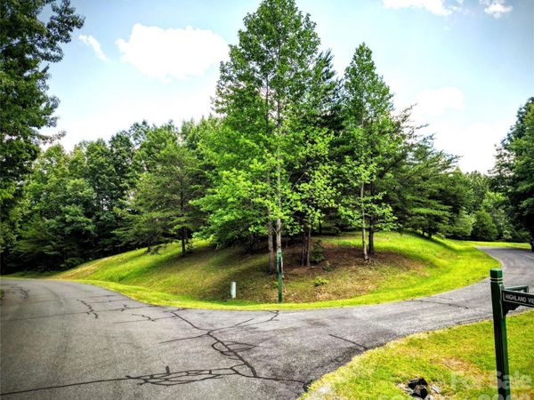 00 Fallen Tree Lane , Mill Spring, NC 28756
