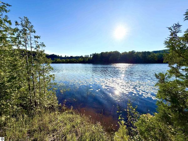 7932 Rushton Road, Ellsworth, MI 49729