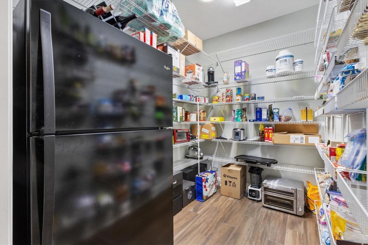 728 Congaree Loop, The Villages, FL 32163 Photo