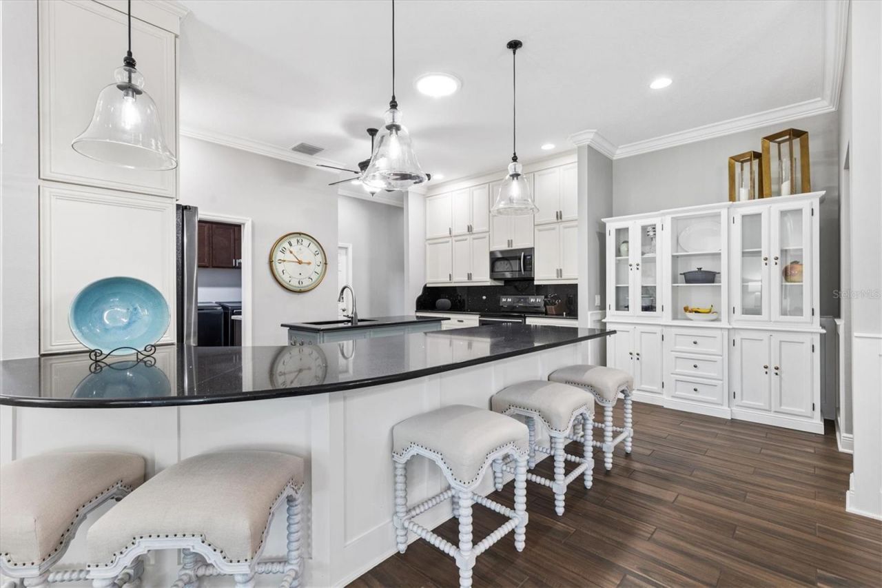 728 Congaree Loop, The Villages, FL 32163 Photo