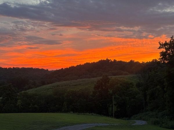 557 Ward Hollow Road , Shelbyville, TN 37160