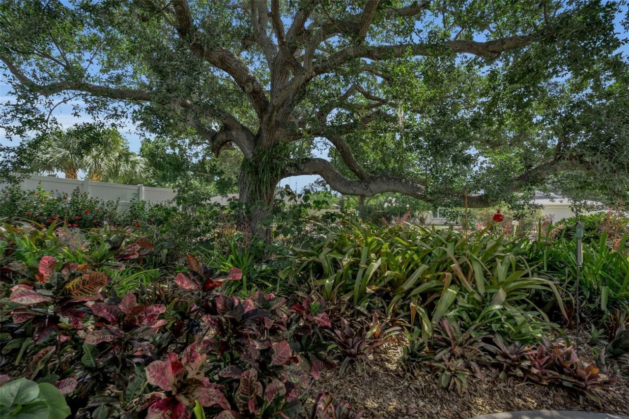 1808 49th Street W, Bradenton, FL 34209 Photo