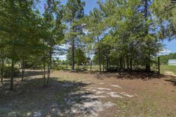416 Otis Road  photo 4